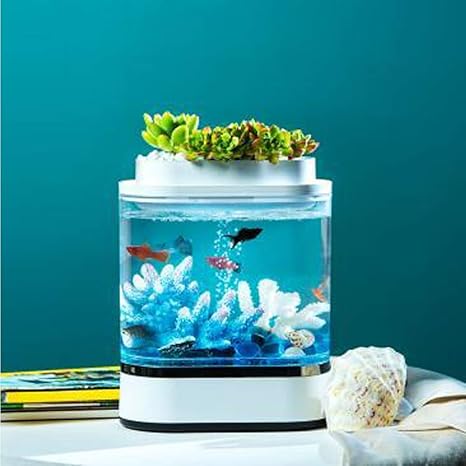 Amazon Co Jp 水槽アクアリウムスターターキットと蓋付きled水槽キットミニ水槽ホームリビングルームオフィススマート水族館水陸両用生態学空のシリンダー創 ホーム キッチン