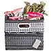 High Road CargoCube Leakproof Car Trunk Organizer Bin (Baja)