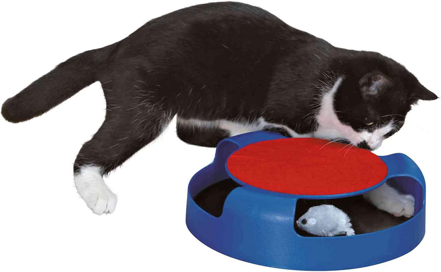 Jouet Pour Chat Attrape Souris Amazon Fr Animalerie