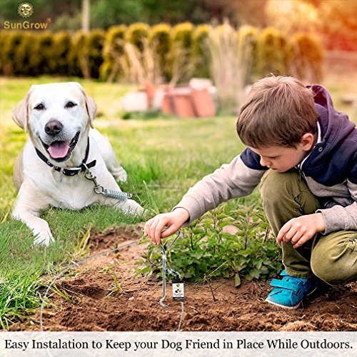 image for SunGrow Stainless Steel Tie Out Leash Stake 360 Degree Rotating Ring- 