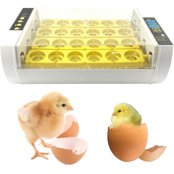 Ridgeyard 56 Huevos Incubadora Hatcher Control de temperatura ...