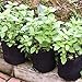 JES&MEDIS 12-Pack 3 Gallon Plant Grow Bags, Thick Aeration Fabric Flower Vegetable Pots w/Handles Garden Container, Blackthumb 3