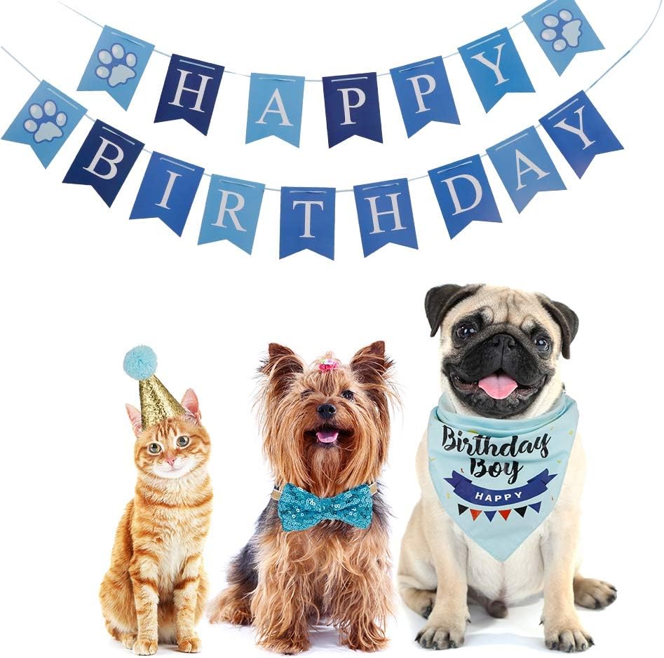 dog birthday scarf