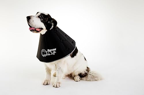 Comfy Cone E Collar After Neuter All Four Paws Comfy Cone Pet Cone