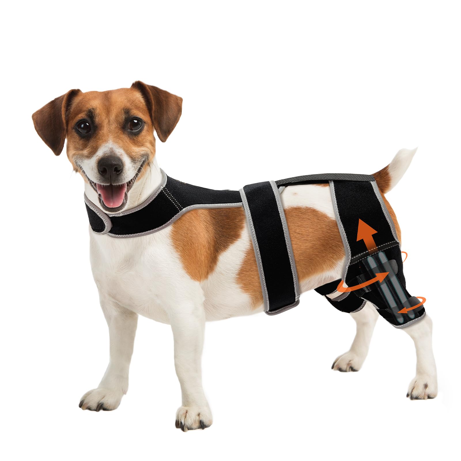 Photo 1 of Adjustable Dog Knee Brace for Hind Leg - Double Leg Orthopedic Support with 4 Metal Stabilizers, Vest Design Dog Leg Brace for ACL/CCL Tear, Luxating Patella, Arthritis & Post-Surgery Rehab (m)