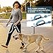 Dioche Hands Free Dog Leash, Free Control for Up to 150 lbs Dogs, Dual-Handle Reflective Bungee Leash with Adjustable Waist Belt and Dog Water Bowl for Hiking Running Walking Jogging