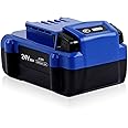 DSANKE 24V 6.0Ah Lithium-ion Battery Replacement for Kobalt 24V Max KB624-03 KB524-03 KB424-03 KB224-03 KB124-03 0673802 1051230 Lithium Ion Cordless Tools Battery【NOT Fit Snow Joe &Sun Joe 24V Tools】
