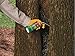Great Stuff 283064 12OZ GS Pond&Stone Foam Sealant, Each, Black
