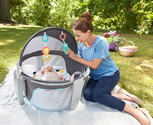 Fisher-Price On-The-Go Baby Dome, White