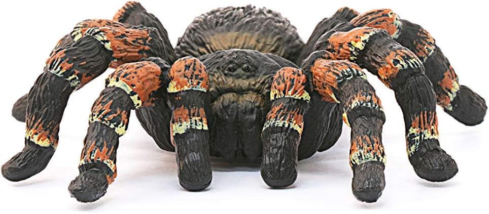 SCHLEICH WILD Life | Vogelspinne 14829 | detailgetreue Tierfiguren | Zoo Spielzeug | tolles Geschenk für Jungen und Mädchen | Deko für Geburtstag | Spielfigur ab 3 Jahren | 8 x 6 x 2 cm 7