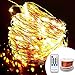 OrgMemory Copper LED Fairy Lights, (80 Ft, 240 LEDs, Warm White, UL Listed Power Adapter), Room Lights, Garland Lights with Remote for Wedding, Xmas, Outdoor and Indoor Room Decor