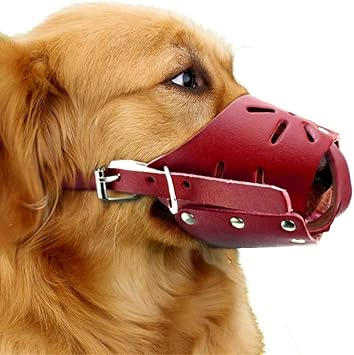 Amazon かぶり防止吠える犬用マスク カオスの防止 噛み付き 叫び 戦いの防止 Yanw Color Brown Size S Yanw マズル 口輪 通販