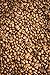Whole Bean Coffee, Robust Body, Great Flavor, Amazing Finish (Brazil Peaberry) 1 Pound