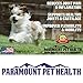 Paramount Pet Health Liquid Glucosamine for Small Dogs, 260mg Glucosamine Liquid for Dogs Joint Supplement for Mobility & Comfort, Easy-to-Use Liquid MSM & Chondroitin, 2 oz