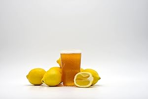 Northern Brewer - 2-Pack 1 Gallon Fruited Brews Beer Recipe Kits