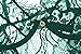 The Victory of Cupid Women 2-Pc Floral Lace Underwear Lingerie Straps Bralette And Panty Set (L, Dark green)