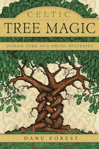 Download Celtic Tree Magic: Ogham Lore and Druid Mysteries (English Edition) PDF