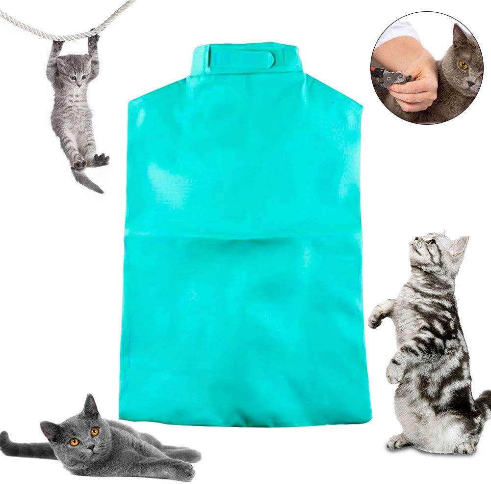 laundry basket cat carrier