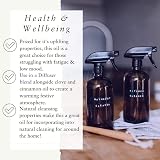 Absolute Aromas Sweet Orange Essential Oil 10 ml Pure Undiluted Vegan view 4