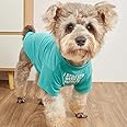 Cute Dog Clothes,Dog T Shirt for Medium Dogs.Dog Clothes for Small Dogs Girl Boy,Puppy.Breathable Soft Dog Costume Pet Dogs Cats,Pet Pullover Jumper,Cat Clothes (XL-(16~20lb), Chest~20", Aqua)