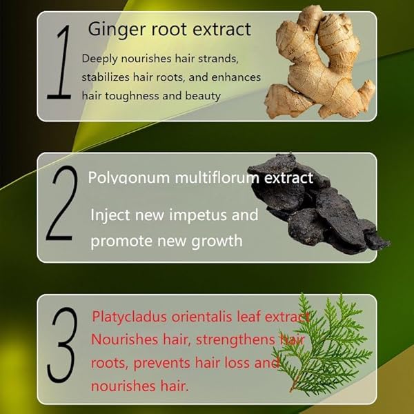 GINGER ANTI HAIR LOSS SHAMPOO, PLANT SHAMPOO FOR HAIR GROWTH OIL CONTROL HAIR CARE FOR WOMEN MEN.(1 BOX)
