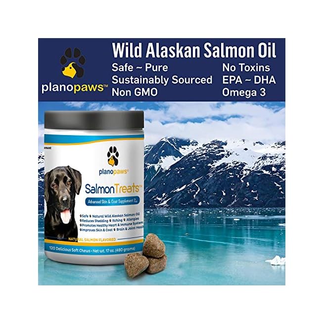 plano paws salmon chews