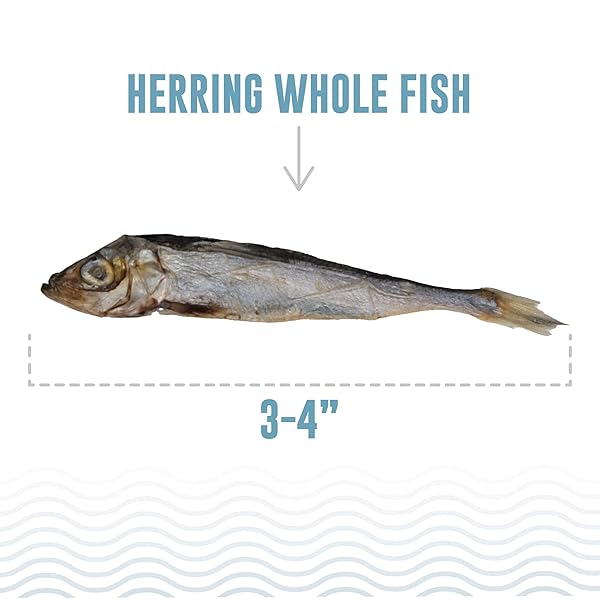 ICELANDIC+ WHOLE FISH HERRING – 3OZ BAG – DOG TREATS, PURE WILD-CAUGHT & AIR-DRIED, SINGLE INGREDIENT SNACK, PET CHEW, JUST THE FISH NOTHING ELSE
