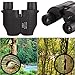 FW ZONE 10x25 Compact Binoculars for Adults & Kids, Lightweight Auto Focus Binoculars with Weak Light Night Vision for Bird Watching, Football, Operas,Concerts,Hunting,Travel