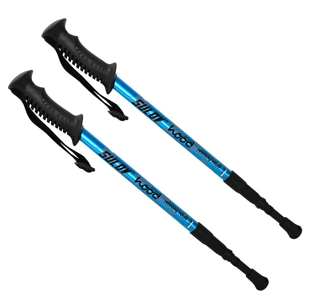 Childs Trekking Pole SULOV HOOD