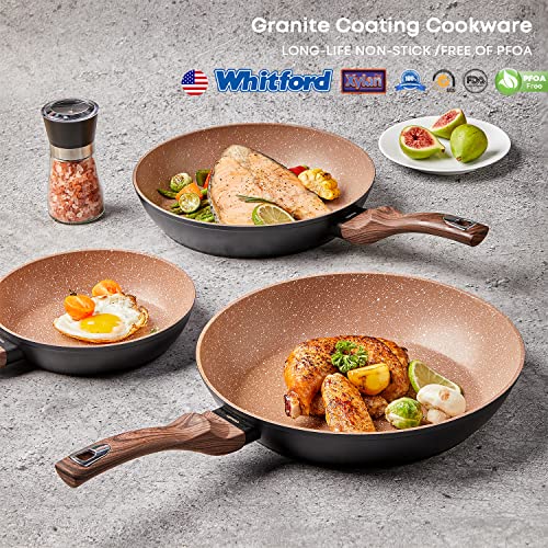 Ecowin 10 Inch Skillet, Frying Omelet Pan Nonstick Granite Coating Free