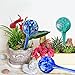 Gardening Solutions Hydro Globes Mini Automatic Watering Bulbs, 3 Piece Deluxe Set