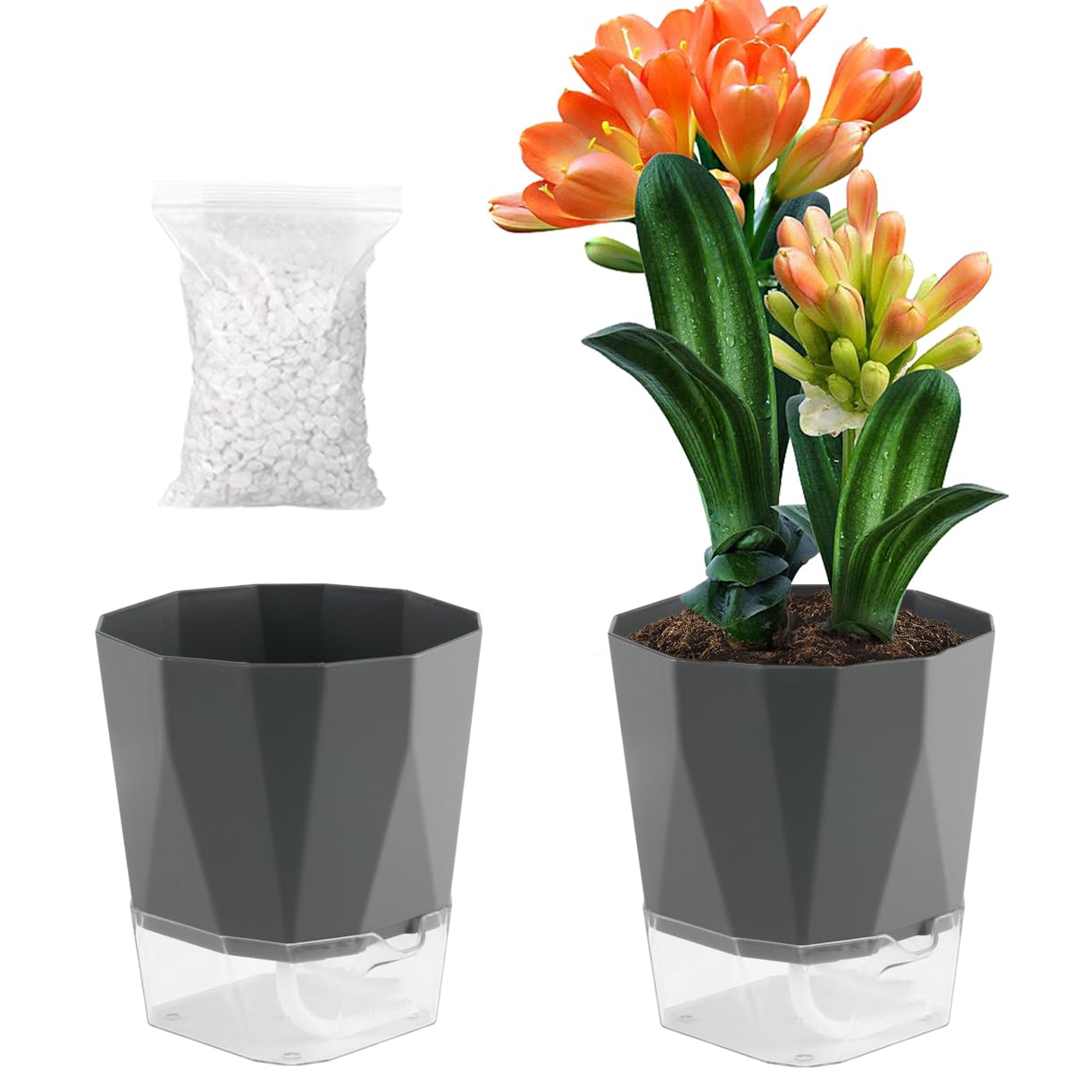 Photo 1 of 2 Pack Self Watering Planters 8.4" - Indoor/Outdoor African Violet Pots, Clear & Dark Grey