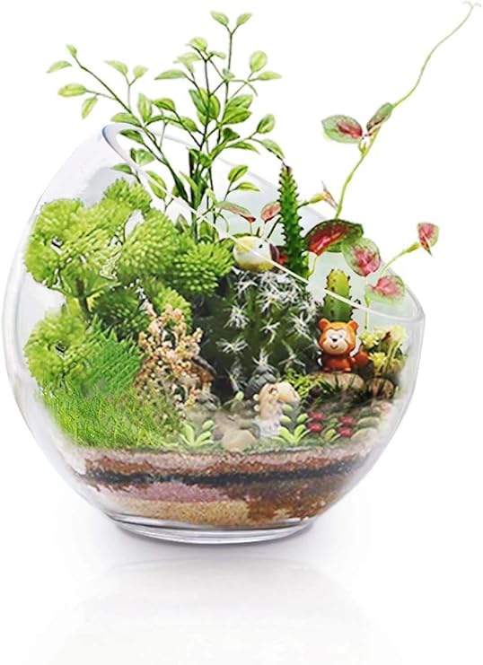 Ecosides Transparent Glass Bowls Slanted Clear Vase Terrarium Jar Round