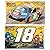 Kyle Busch M&M 18 2 Ply Flag