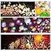 Paper Lantern Lights with Remote Control Multicolored Changing Battery Operated LED Lights Submersible Lamps for Christmas New Year Party Decoration (Pack of 10)