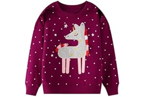 DDSOL Toddler Girls Sweatshirt Cotton Sweater Long Sleeve Shirt Little Kids Pullover Tops 2-7 Years