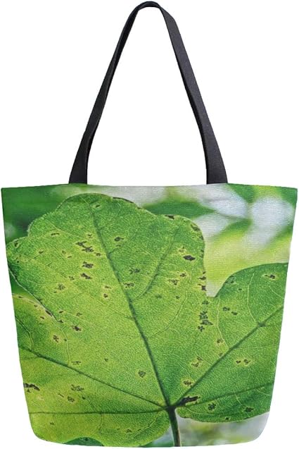 Bolso de compras Carrito de compras Luz del sol Árbol de hojas Follaje