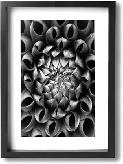 Amazon 白黒 ダリアの花 キャンバスプリント 壁装飾 絵画 ウォールアート モダン 抽象画 絵画 額入り ご家庭 オフィス 装飾 ブラック Hdwi3hdq Blackandwhite 48 アートフレーム ポスター オンライン通販