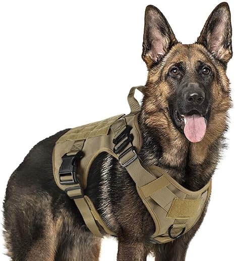 extra large dog vest