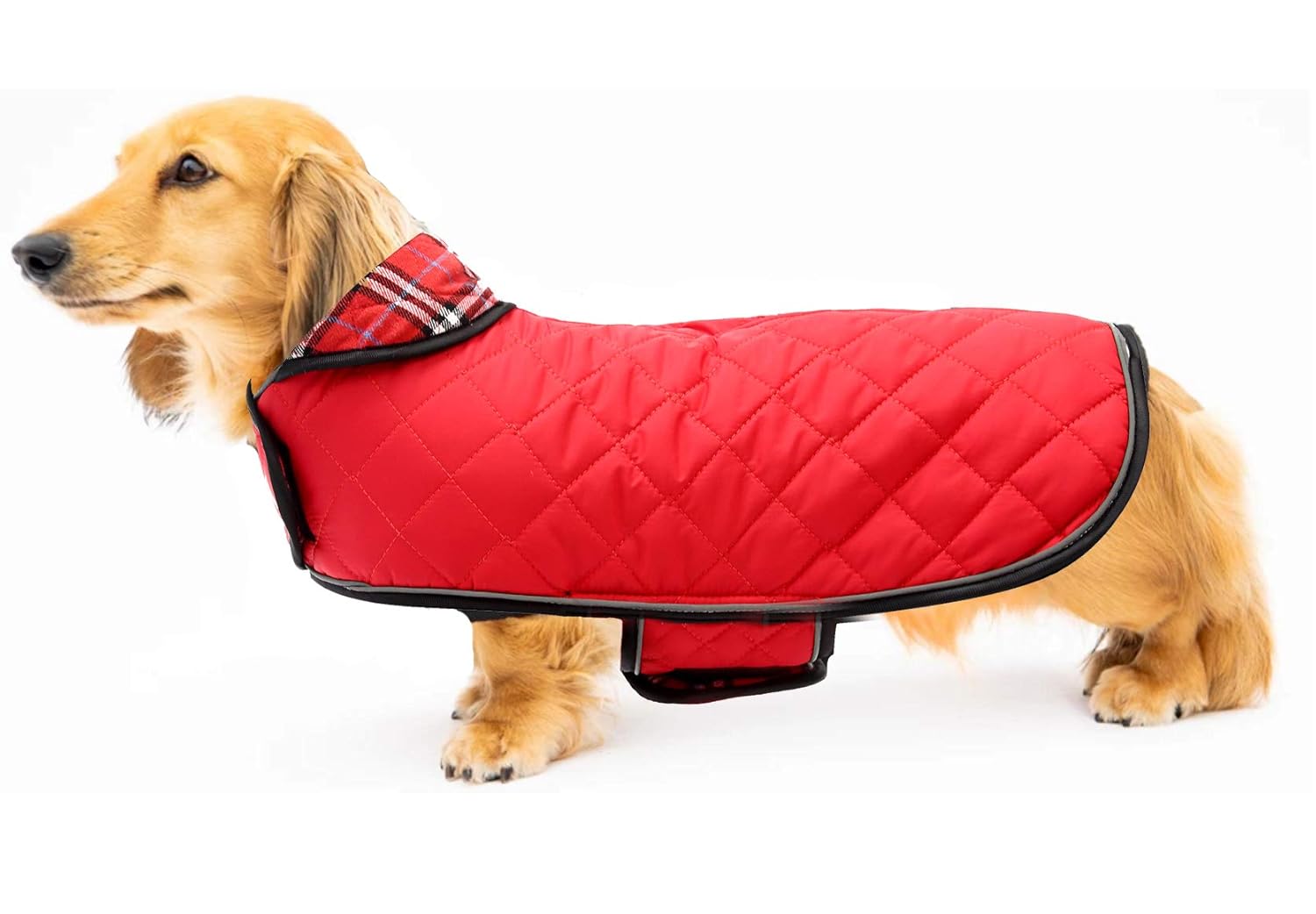 Navy Geyecete Reversible Outdoor Sport Dog Jacket Winter Warm Large Dog