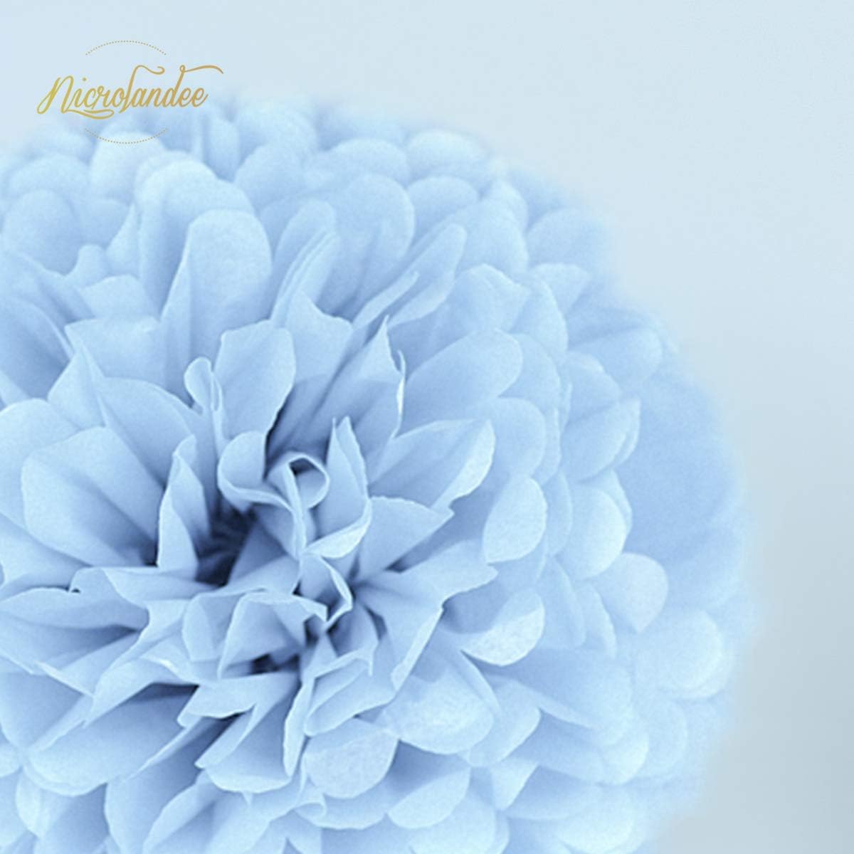 NICROLANDEE Frozen Theme Winter Wonderland Party Decoration - 16Pcs Silver Glitter Paper Lanterns Honeycomb Balls Tissue Pom Poms for Birthday Party Supplies Bridal Shower Wedding Decor: Health & Personal Care