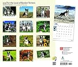 Image de For the Love of Boston Terriers 2018 14 x 12 Inch Monthly Deluxe Wall Calendar with Foil Stamped Cover, Animal Dog Breeds Terriers (Multilingual Editi