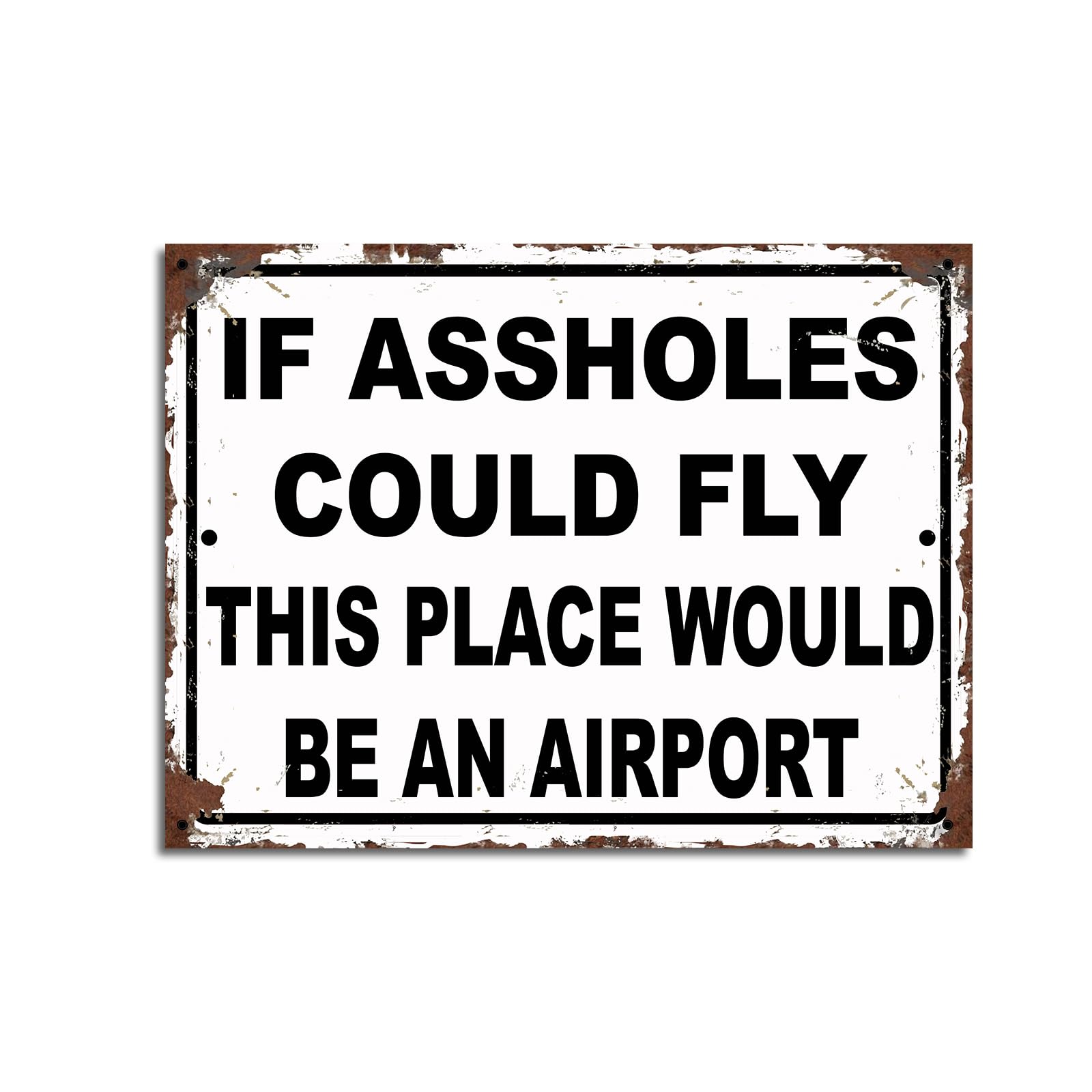 Is ass***** Could fly this place would be an Airport Funny Theme Retro style metal tin sign/plaque (10" x 8")