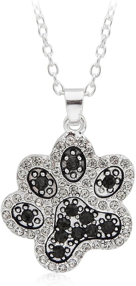 matching dog tag and owner necklace