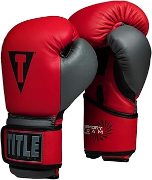 title boxing gloves amazon