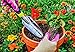 Hand Garden Trowel - Heavy Duty 11.8 in.Softouch Transplanter as Lawn Tools.