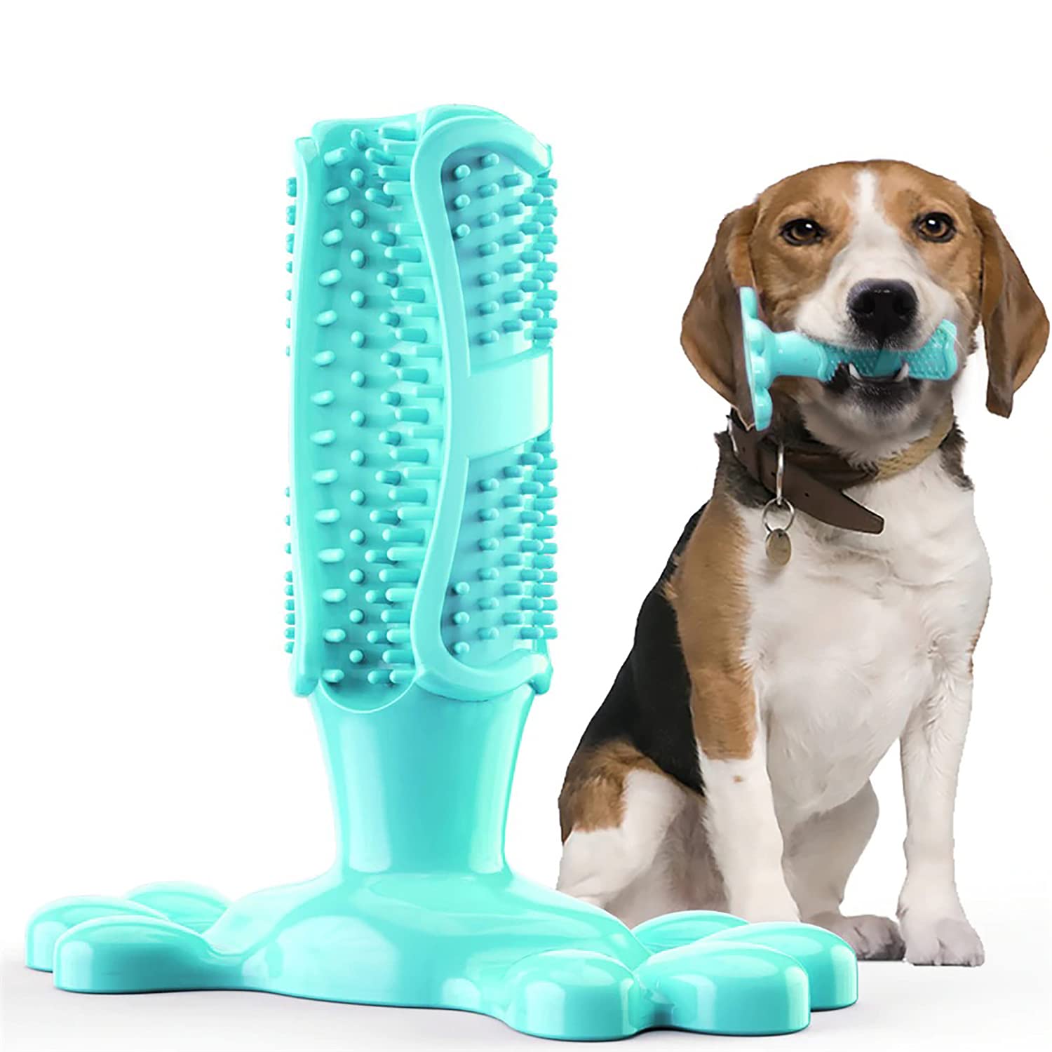 Buy Dog Chewing Tooth Brush for Medium to Large Dog Tooth Cleaning