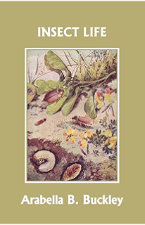 Amazoncom By Pond And River Yesterdays Classics Eyes - 