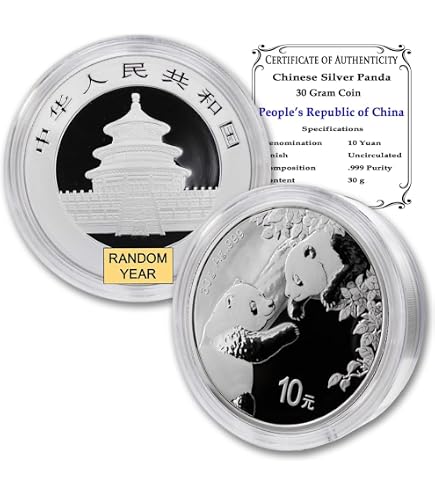 2025 30 g Gram Chinese Silver Panda Coin Brilliant Uncirculated
