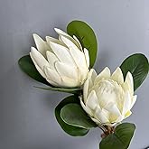 Evlasumflow 2pcs Artificial King Protea Flowers 20" Fake Tropical Red Protea Cynaroides for Vase Bouquets Floral Arrangement Home Office Wedding Decoration.(White)
